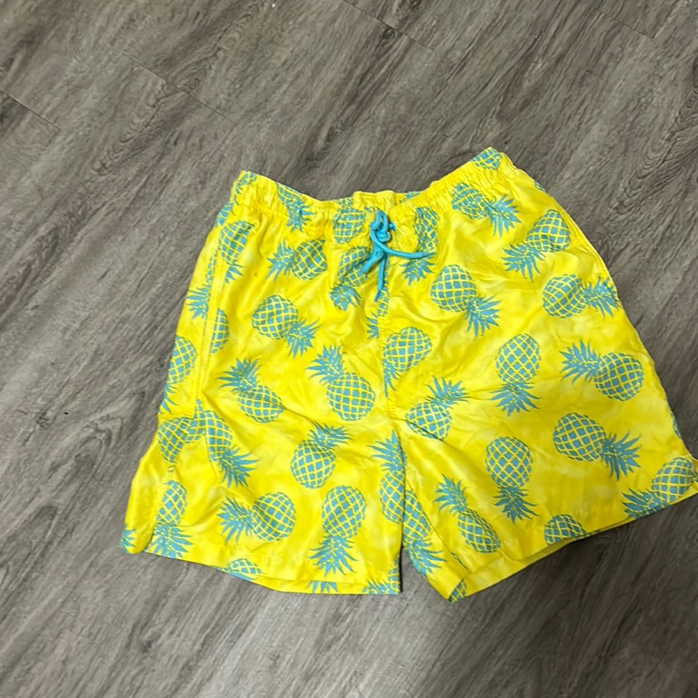 COPY - Mens swim trunks
